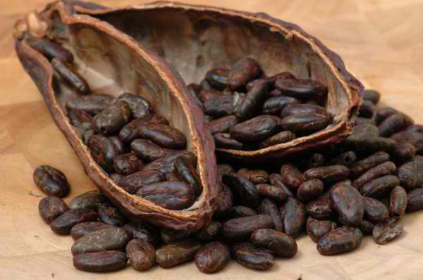 Czy mogę karmić piersią matkę kakaową w pierwszym i drugim miesiącu?